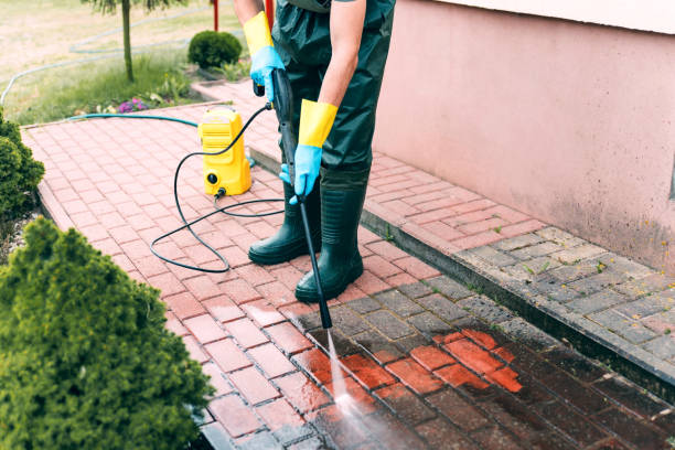 Best Fence Cleaning  in Warrensburg, IL