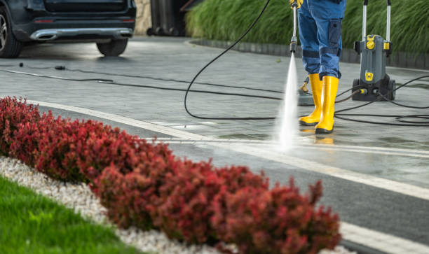 Best Driveway Pressure Washing  in Warrensburg, IL